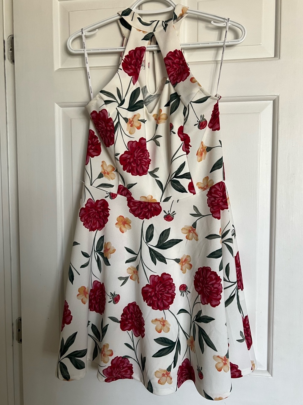Floral Halter Fit & Flare Dress in Ivory with Red Blooms
